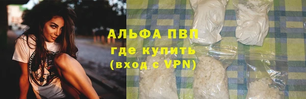 PSILOCYBIN Лагань