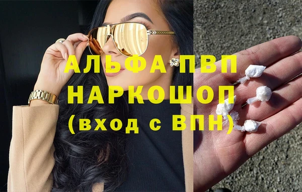 PSILOCYBIN Лагань