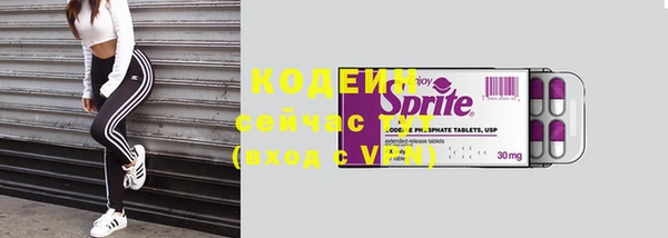 стаф Белокуриха