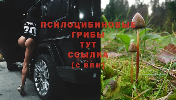 PSILOCYBIN Лагань