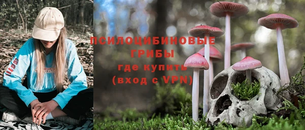 ПСИЛОЦИБИНОВЫЕ ГРИБЫ Лабытнанги
