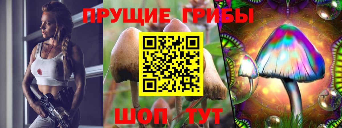 Псилоцибиновые грибы MAGIC MUSHROOMS Заречный